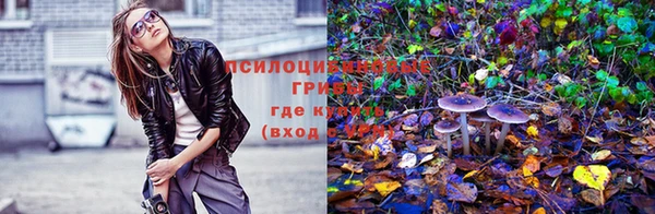 mdpv Лабытнанги